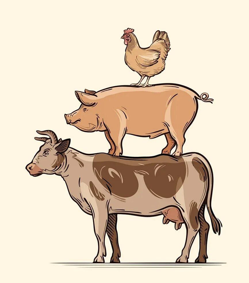 Премиальная говядина в России