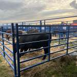 Панель AUR 100.4 для загона (ЧРПП 2025)